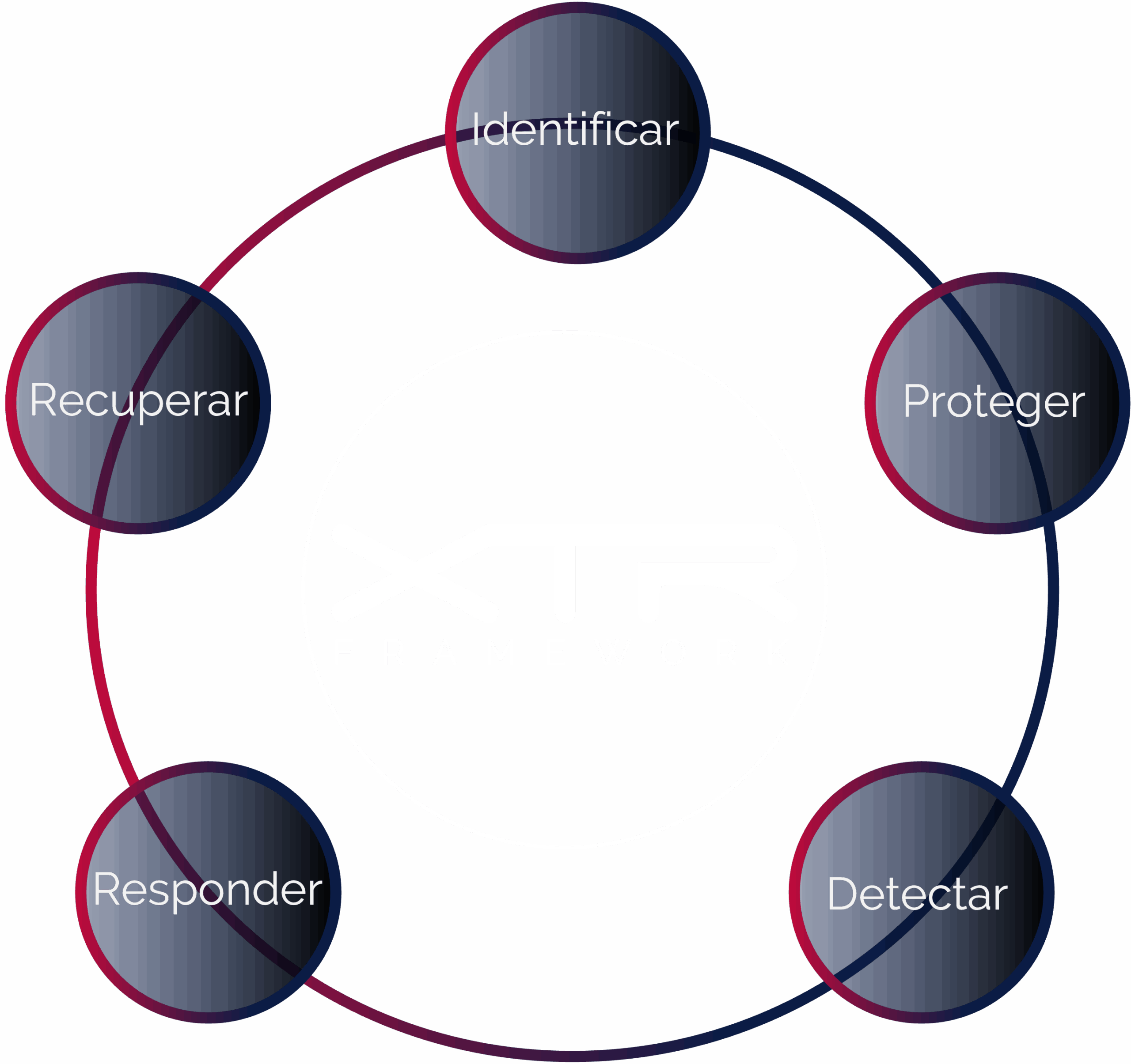 xtr_grafic