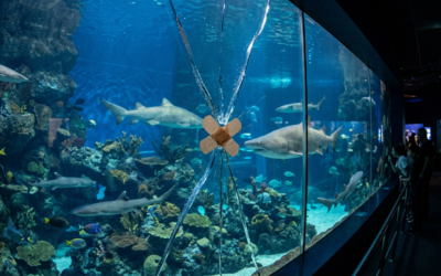 O improviso custa mais que o contrato, porque enfraquece a capacidade de recuperação